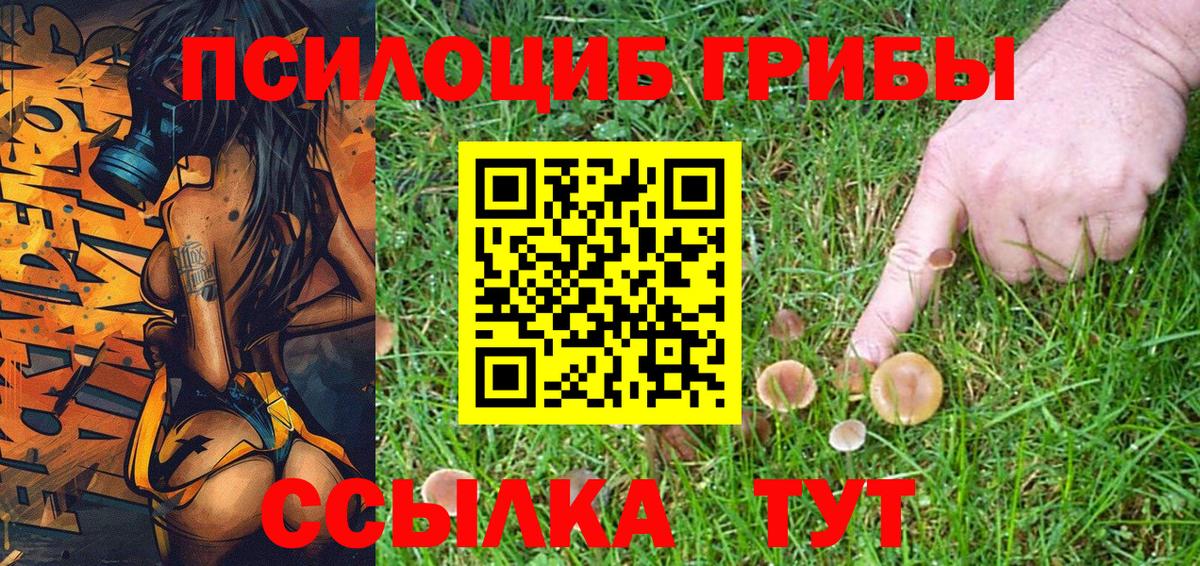 Михайловка  сколько стоит  Вход с VPN  Псилоцибиновые грибы ЛСД 